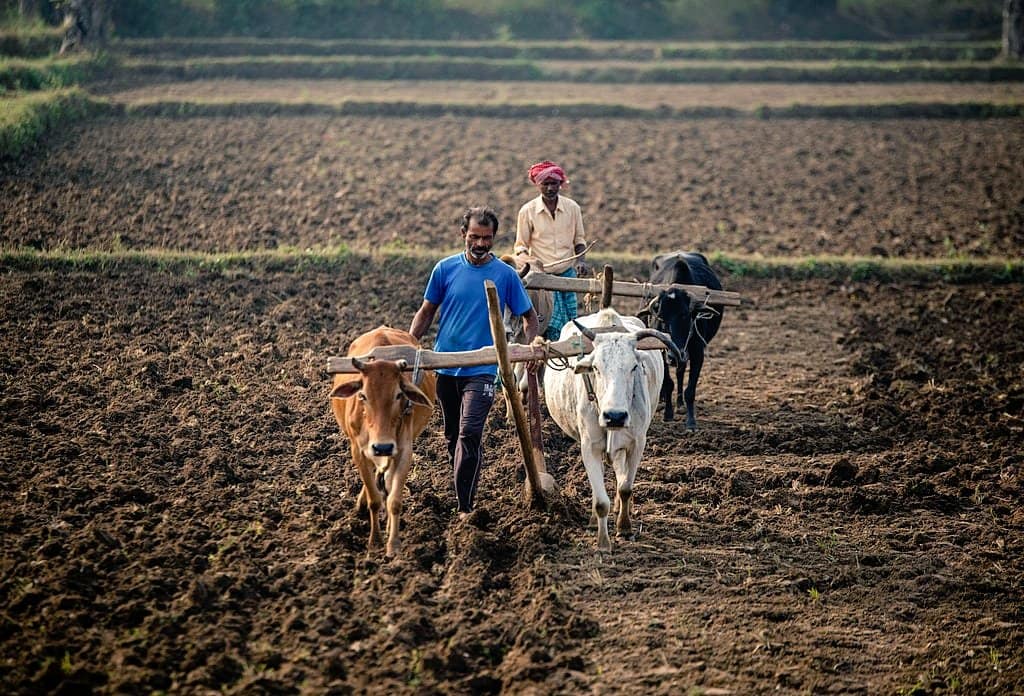 India-US trade