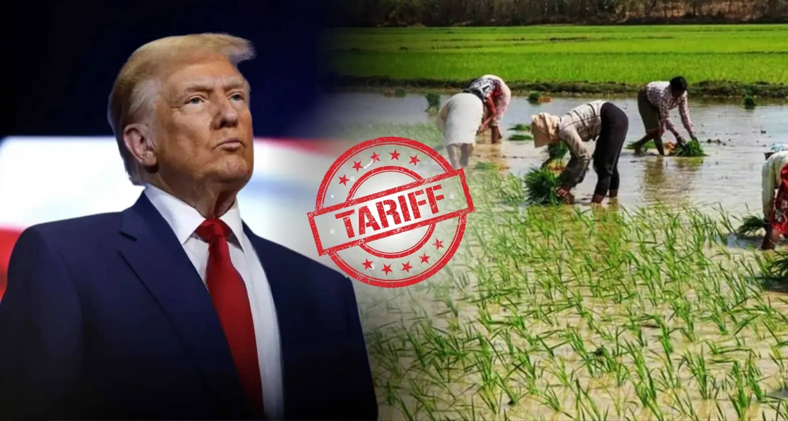 Trump Tariffs and Test of India’s Agricultural Resilience